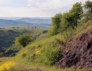 Heimberg im Hochsommer