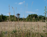 Heimberg im Hochsommer