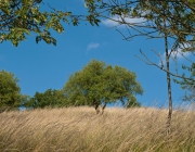 Heimberg im Hochsommer