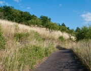 Heimberg im Hochsommer
