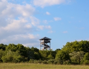 Heimbergturm